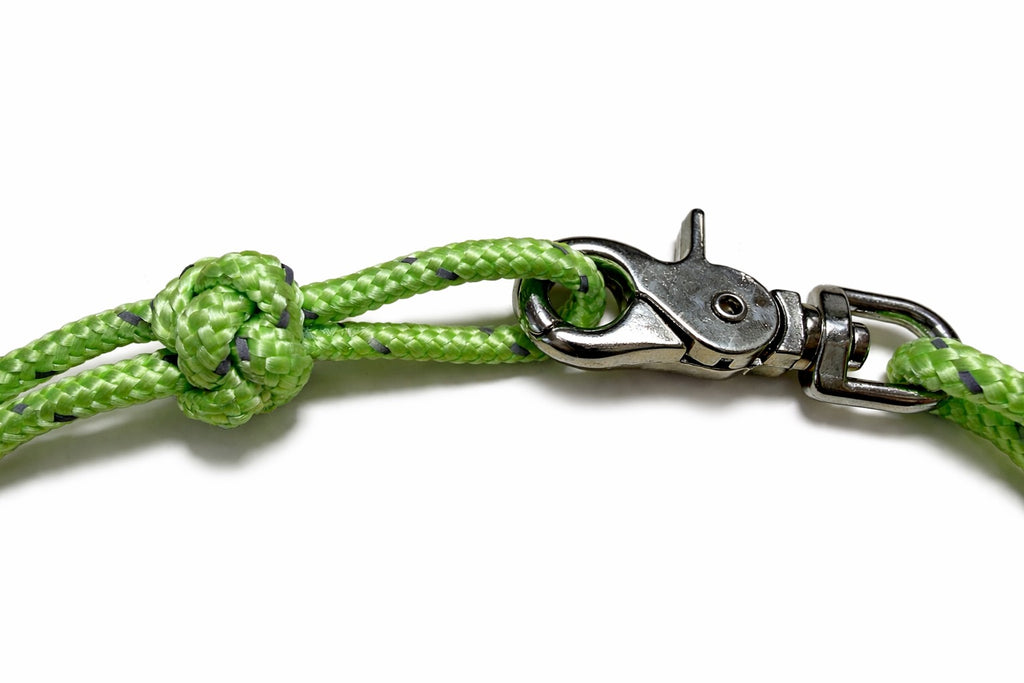 Heavy-Duty Reflective Dog Collar