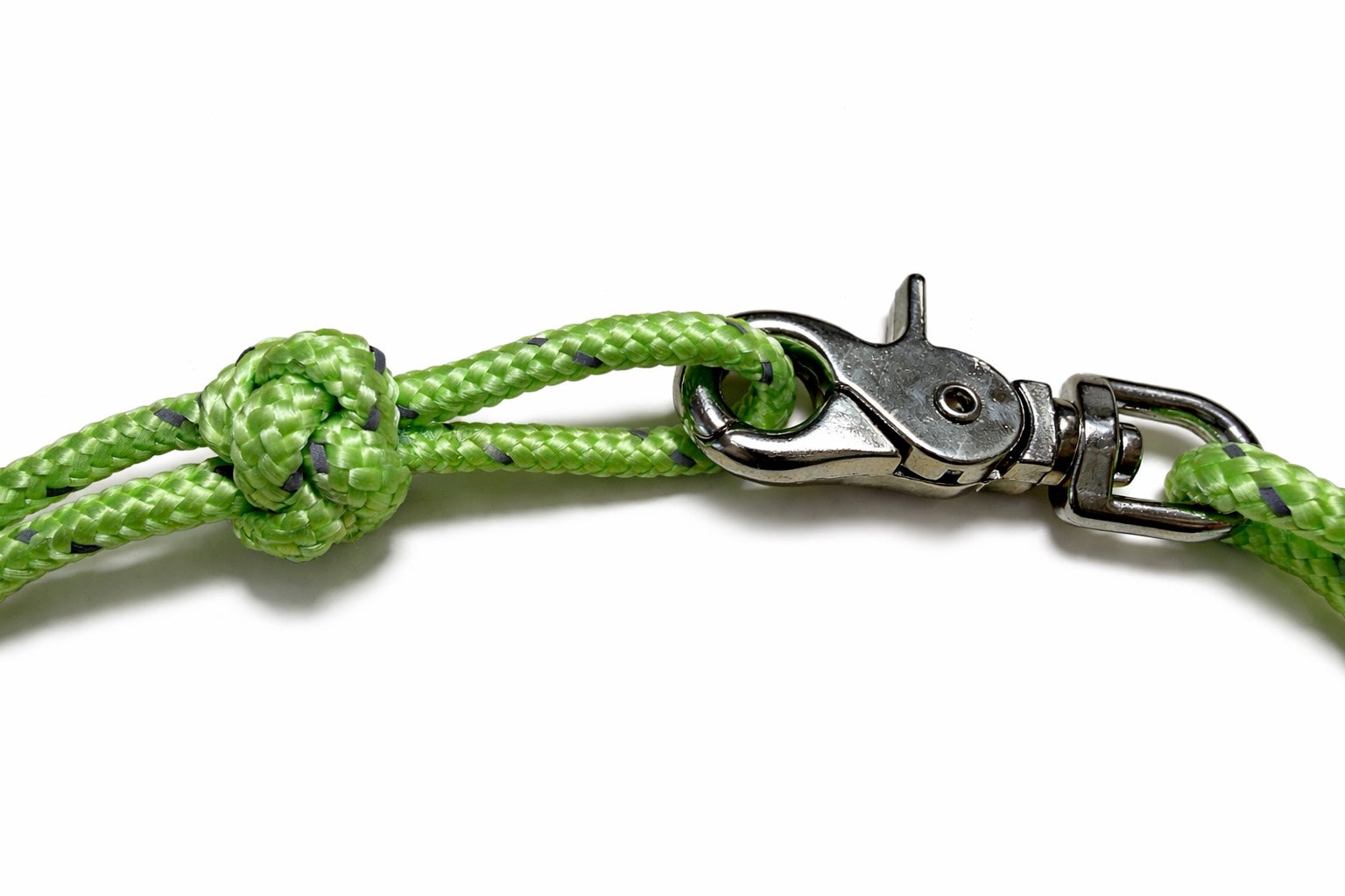Heavy-Duty Reflective Dog Collar