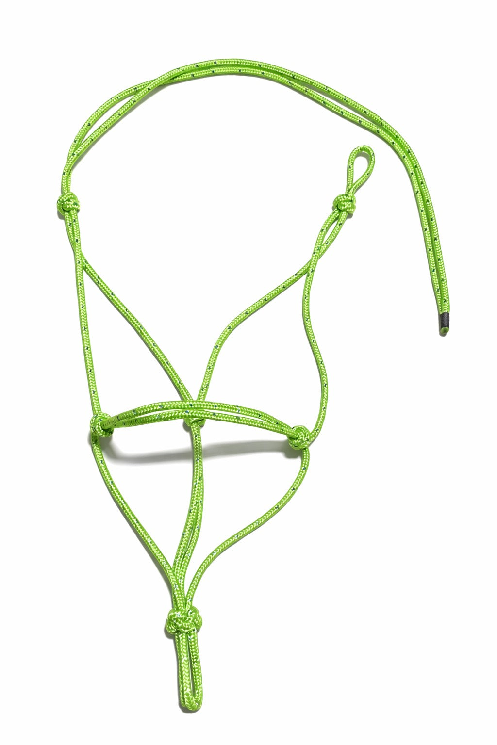 Reflective Rope Halter